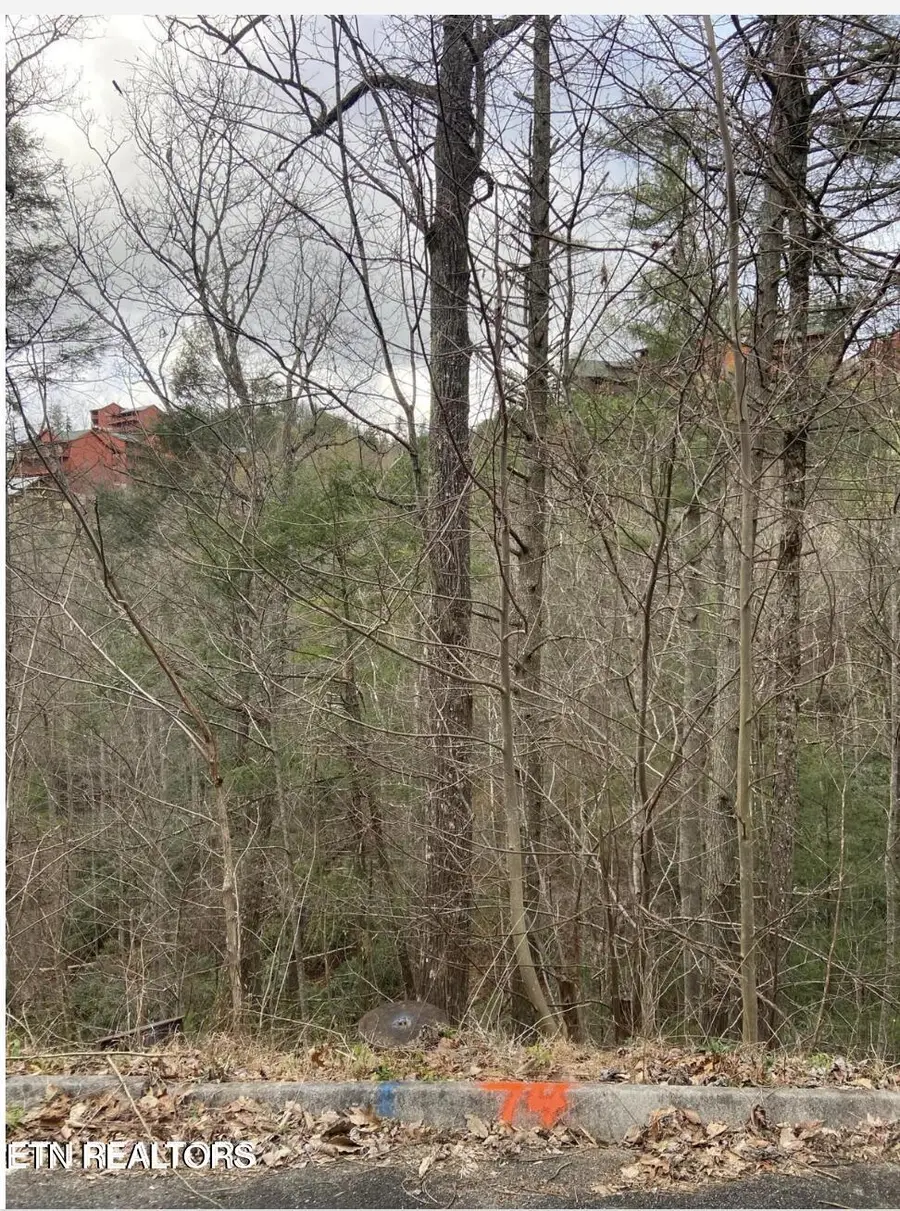 Lot #74 Smoky Ridge Way, Sevierville, TN 37862 - #2