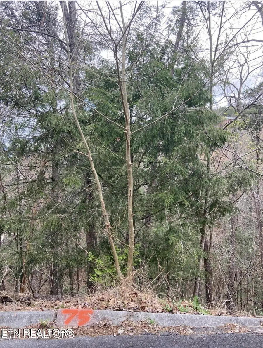 Lot #75 Smoky Ridge Way, Sevierville, TN 37862 - #2
