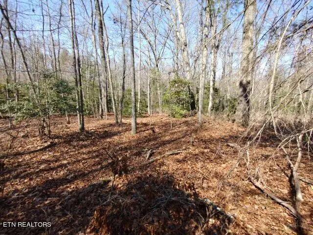 465 Huse Watson Rd, Oakdale, TN 37829 - #2