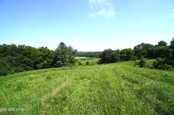 00 Old Greeneville Hwy, Parrottsville, TN 37843