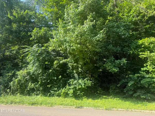 7021 Shalidar Drive, Knoxville, TN 37921