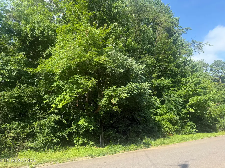 7021 Shalidar Drive, Knoxville, TN 37921 - #2