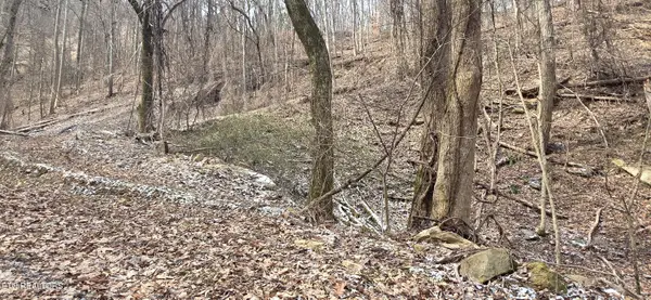 Lot 4 Balsam Slopes Rd, Sevierville, TN 37862