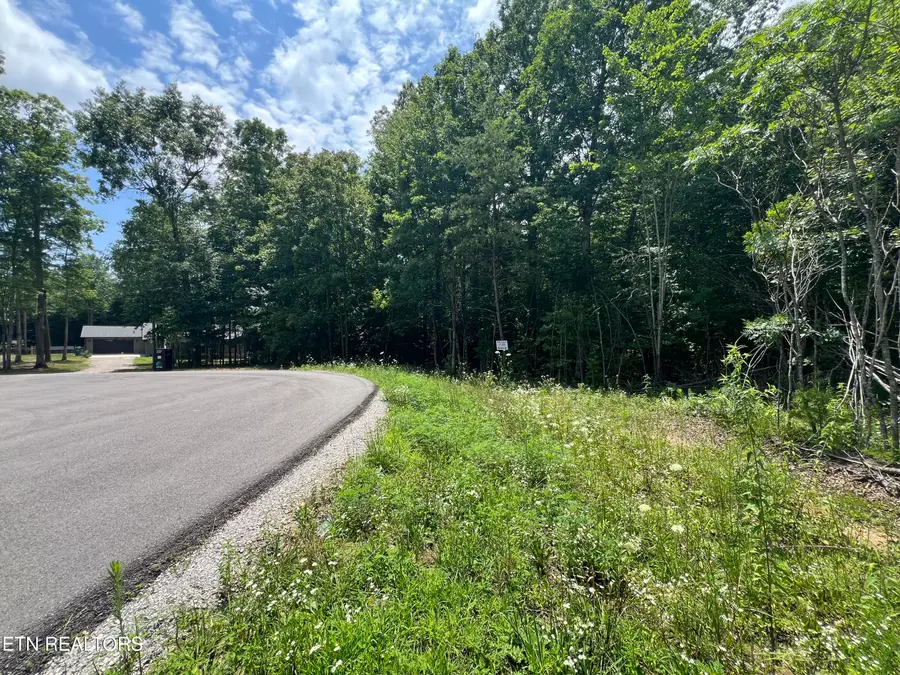 Lot 200 Elzies Way, Grimsley, TN 38565 - #2