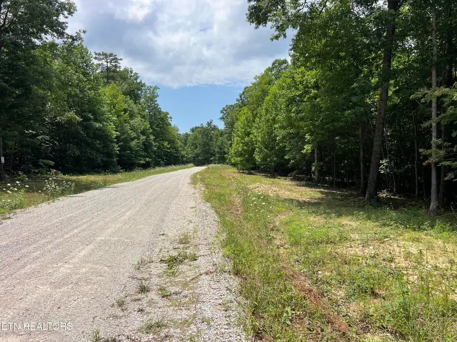 Lot 216 Hargis Rd, Grimsley, TN 38565 - #2