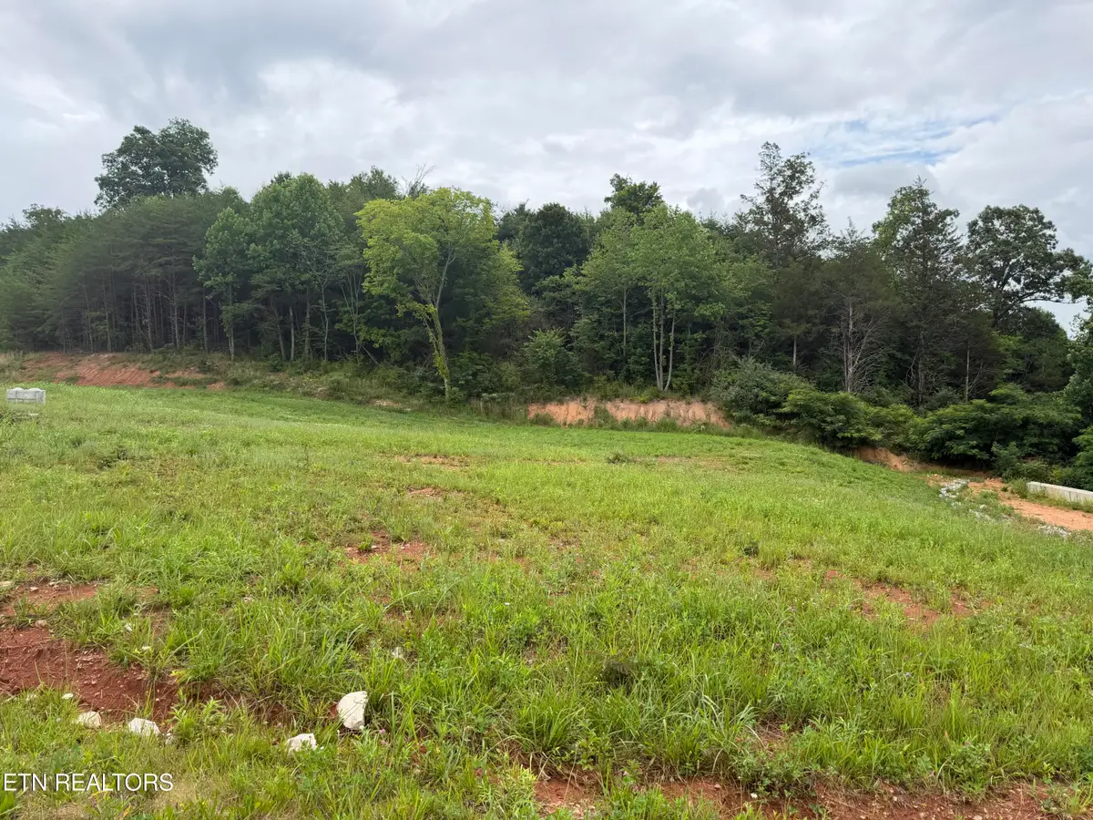 Bear Lane, Tellico Plains, TN 37385 - #1