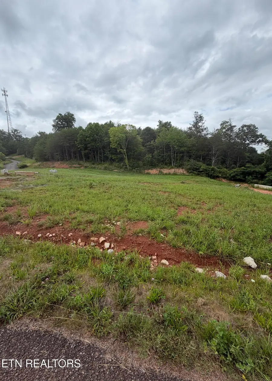 Bear Lane, Tellico Plains, TN 37385 - #2