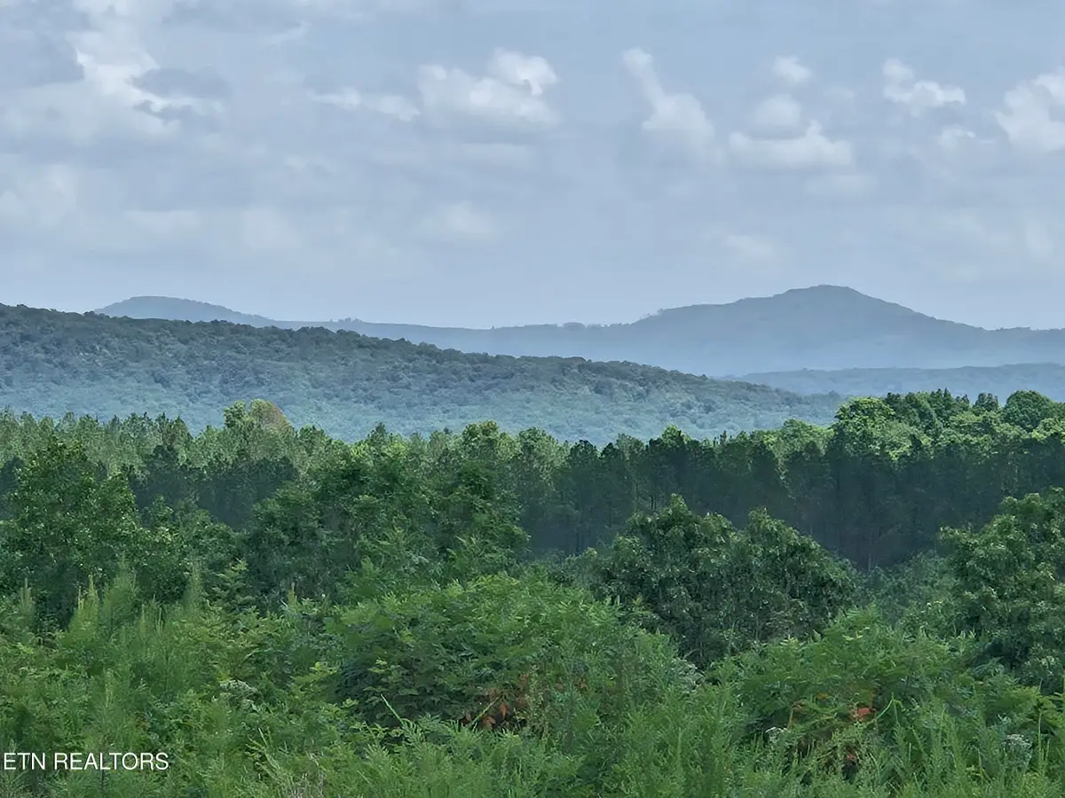 Owl Ridge Way, Sunbright, TN 37872 - #1