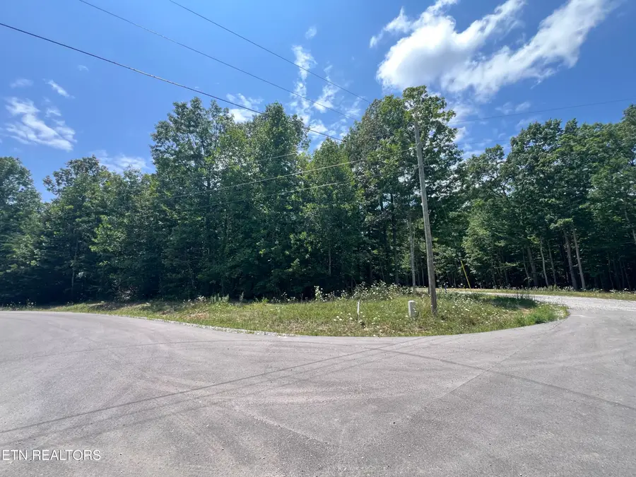 Lot 202 Elzies Way, Grimsley, TN 38565 - #3