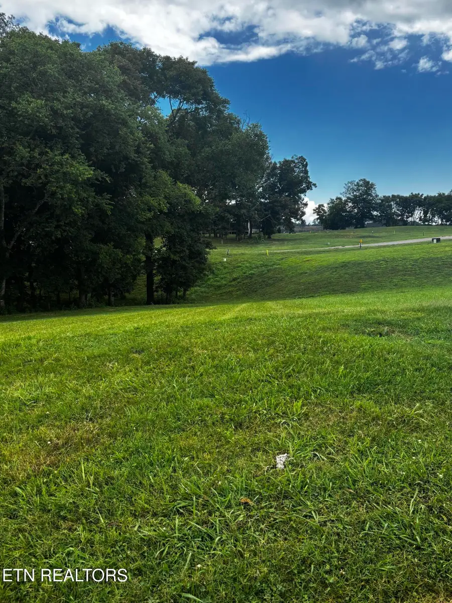 3964 Persimmon Ridge, Loudon, TN 37774 - #3