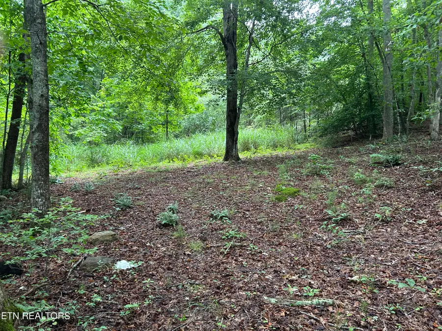 223 West Snowflake Rd, Surgoinsville, TN 37873 - #2