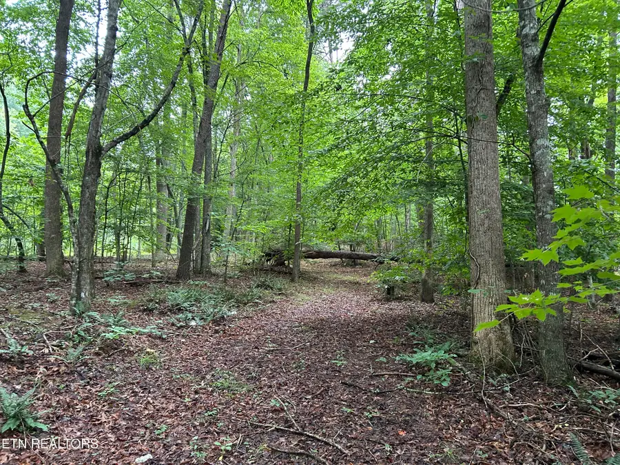 223 West Snowflake Rd, Surgoinsville, TN 37873 - #3