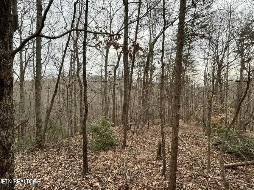 Black Hawk Drive, Ten Mile, TN 37880 - #1