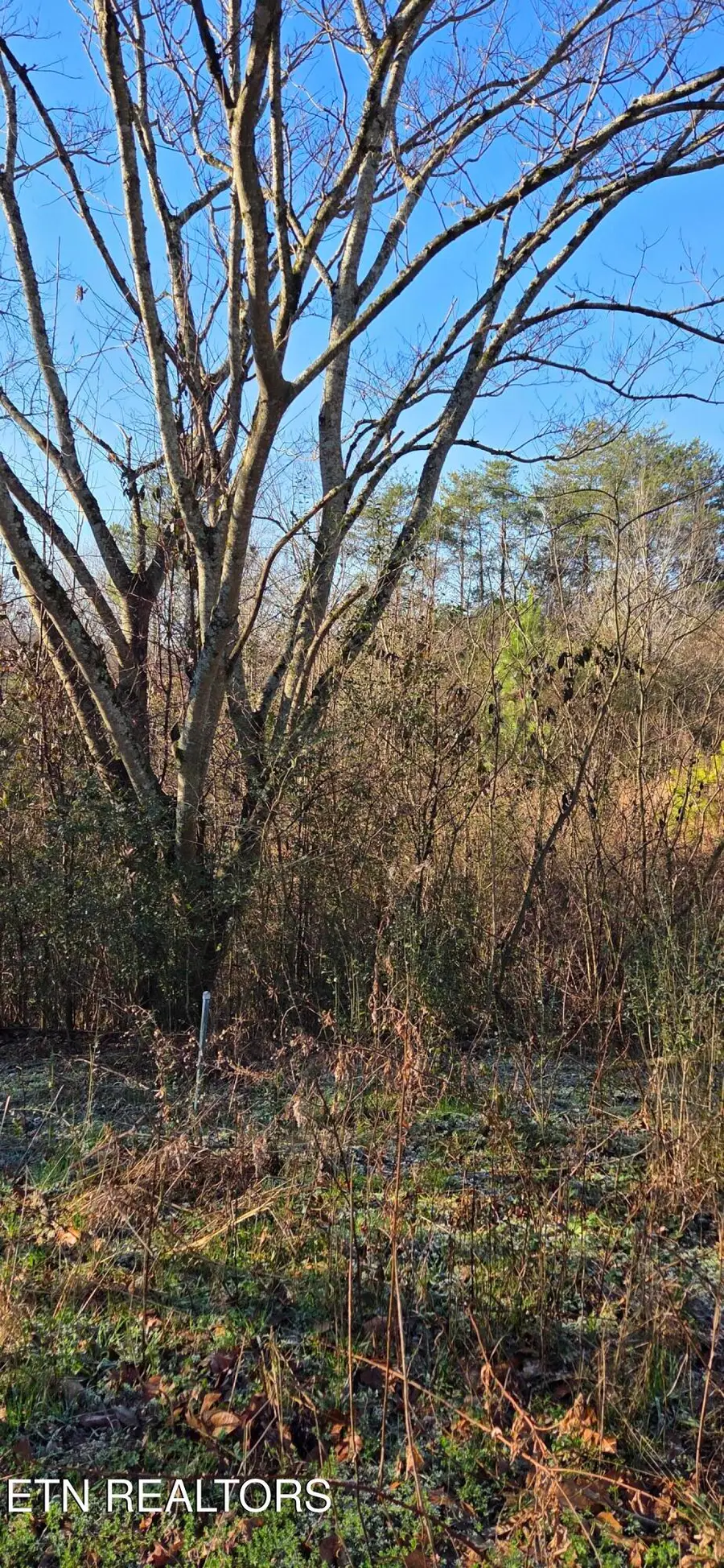 Lot 3 Sugar Maple Court, Madisonville, TN 37354 - #2