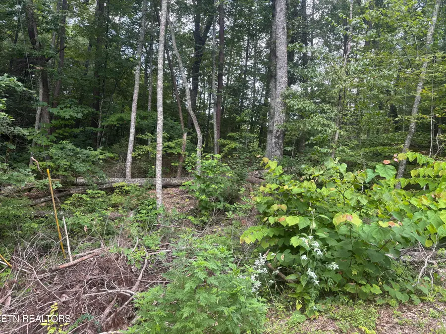 1146 Pine Mountain Rd, Pigeon Forge, TN 37862 - #2