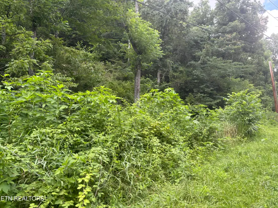 1146 Pine Mountain Rd, Pigeon Forge, TN 37862 - #3