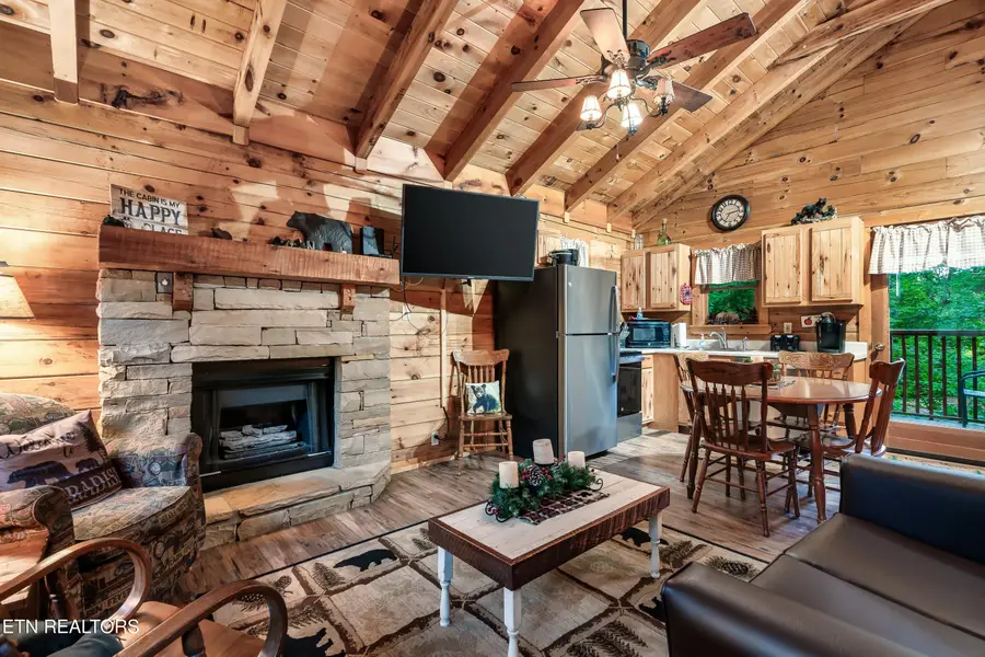 722 Nighthawk Way, Pigeon Forge, TN 37863 - #3