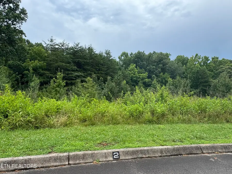Lot 2 Malea Lane, Kingston, TN 37763 - #3