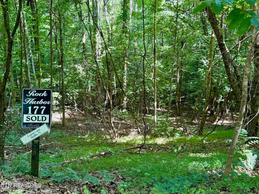 Lot 177 Moonstone Lane, New Tazewell, TN 37825 - #2