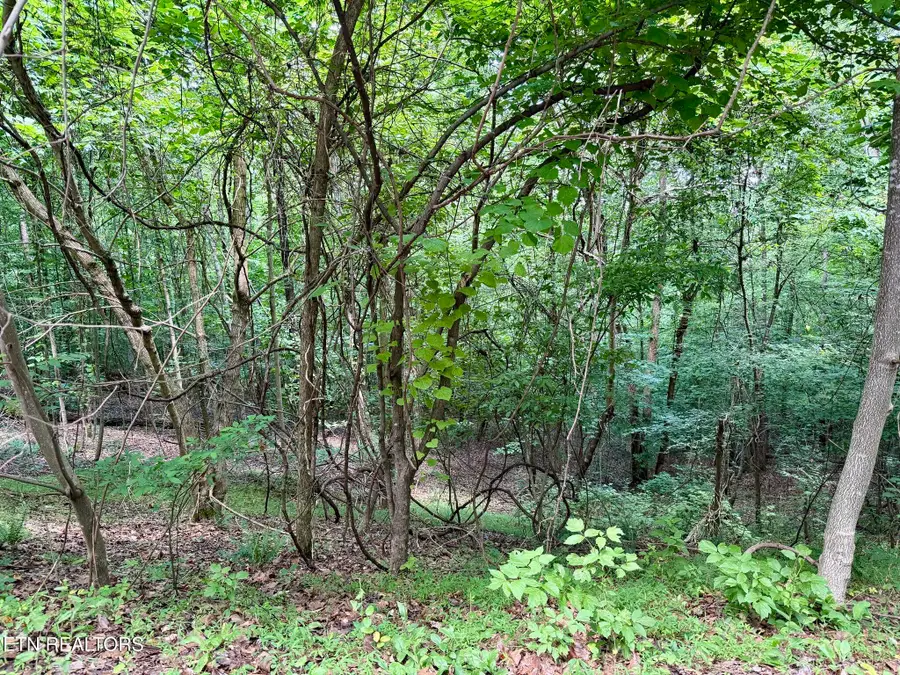 Lot 177 Moonstone Lane, New Tazewell, TN 37825 - #3