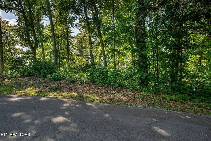 564 Bonne Vista Drive, White Pine, TN 37890 - #2