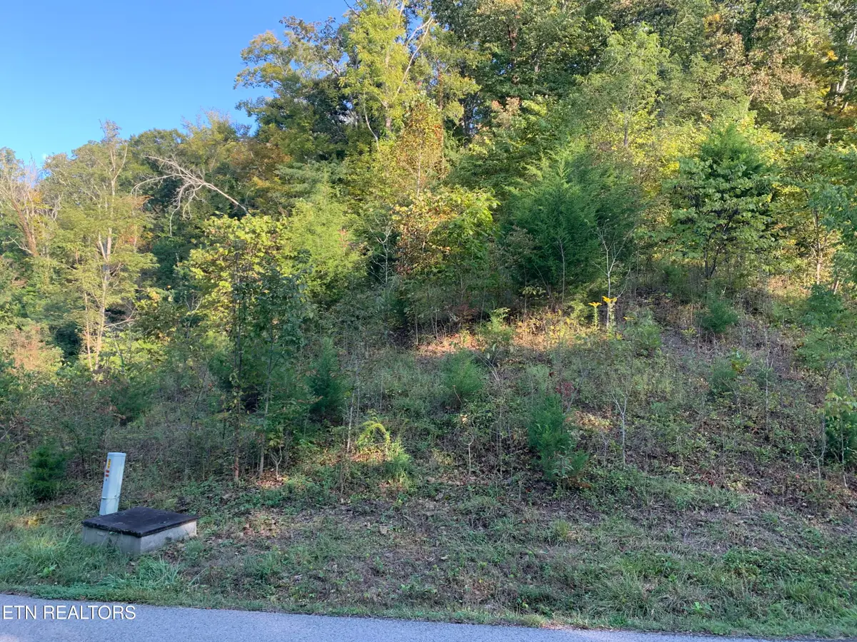 0 Russell Brothers Rd #732, Sharps Chapel, TN 37866 - #1