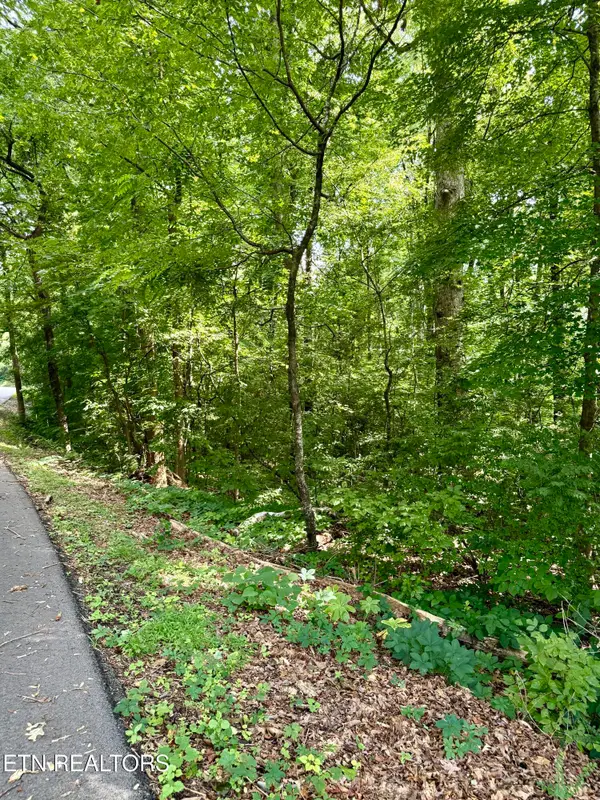 0 Edgewood Drive, Sweetwater, TN 37874
