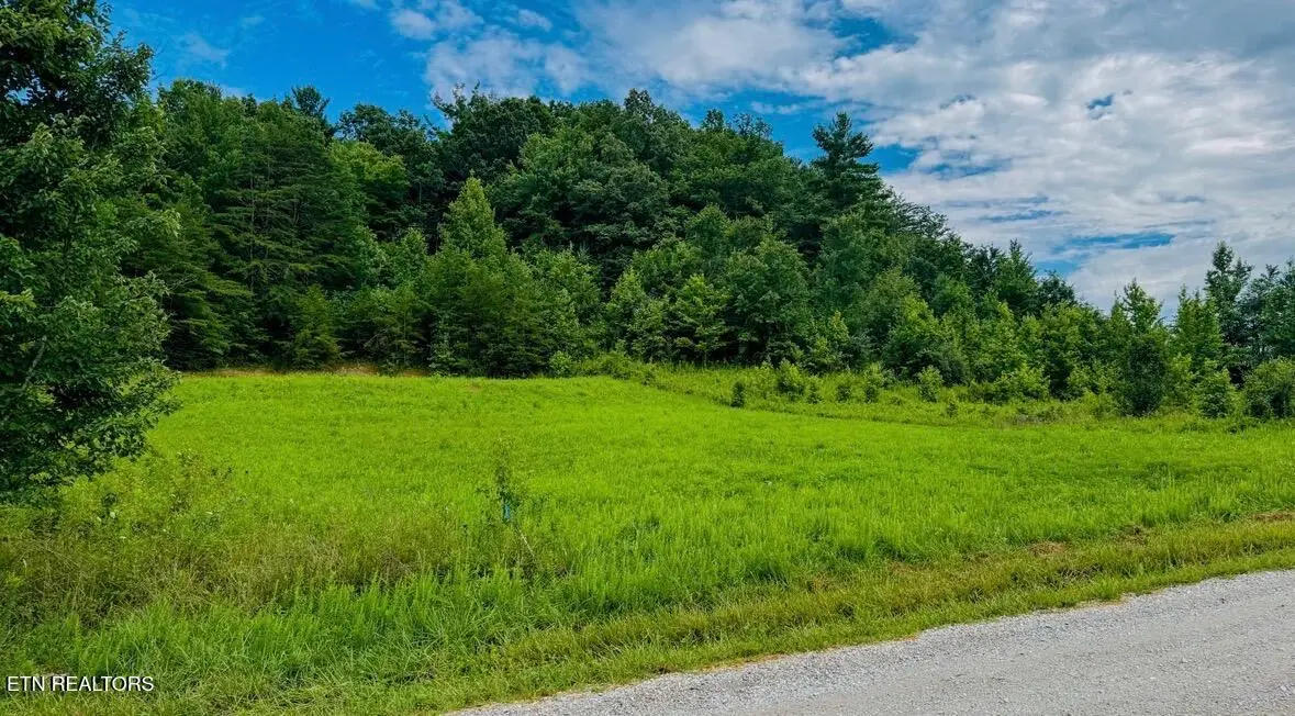 Clay Boyatt Rd, Oneida, TN 37841 - #1