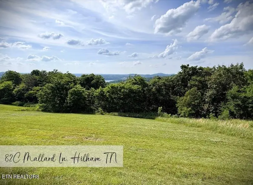 82 Mallard Rd, Hilham, TN 38568 - #1