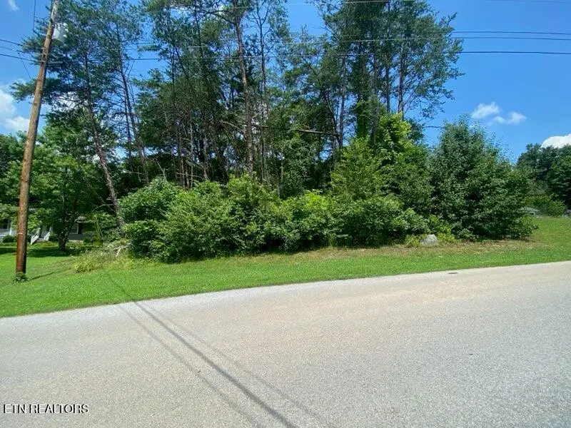 Lot 6 Scenic View Drive, Rutledge, TN 37861 - #1