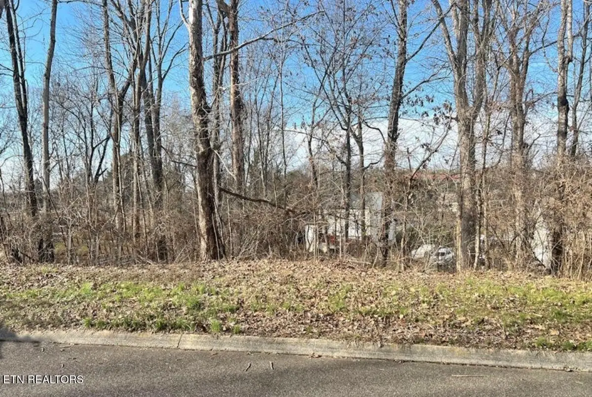 6024 Tennyson Drive, Knoxville, TN 37909 - #1