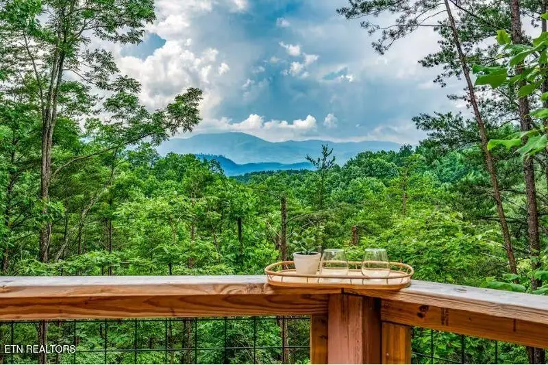 712 Octagon Drive, Gatlinburg, TN 37738 - #2