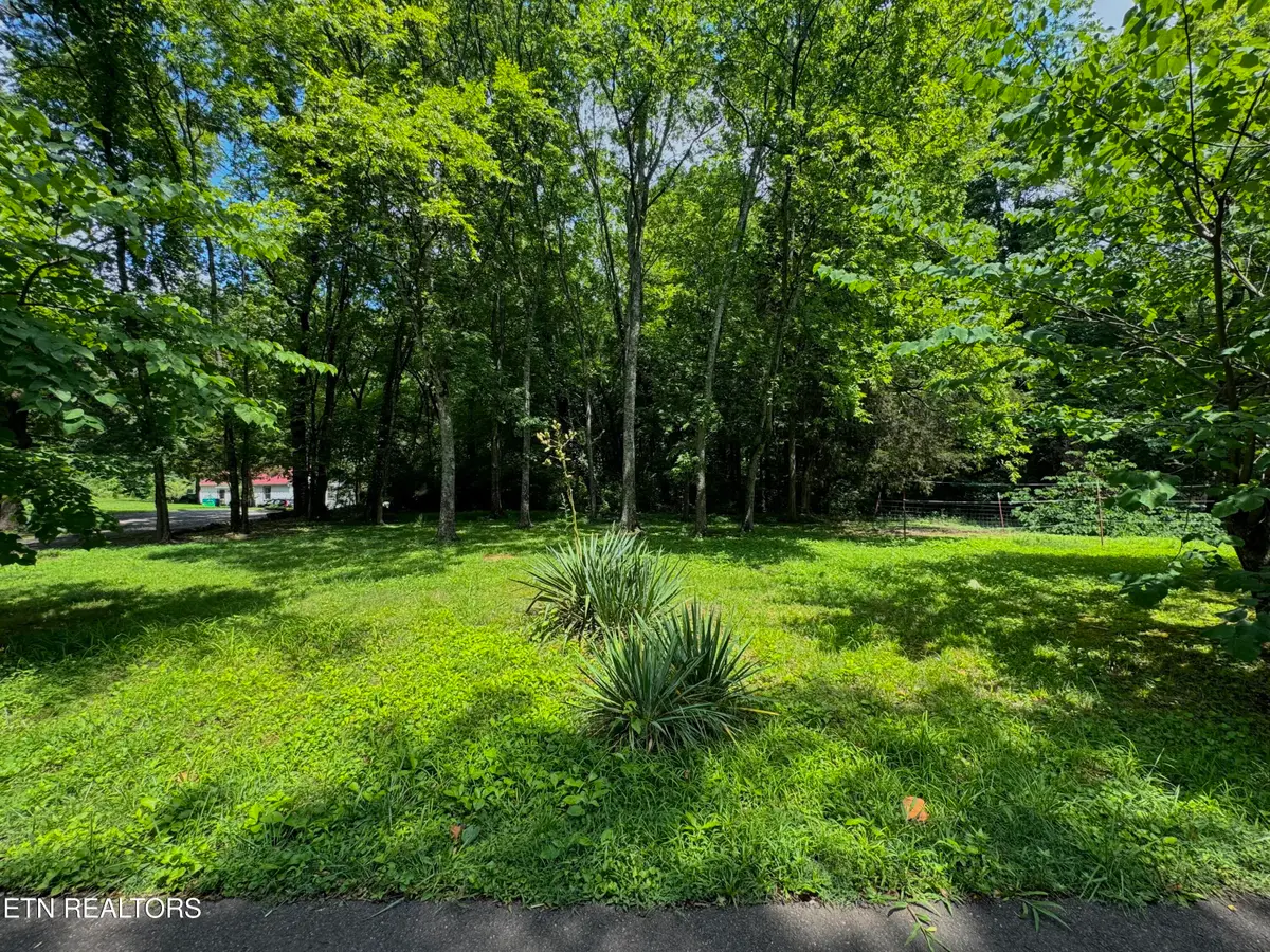 3217 Curtis Lane, Knoxville, TN 37918 - #1