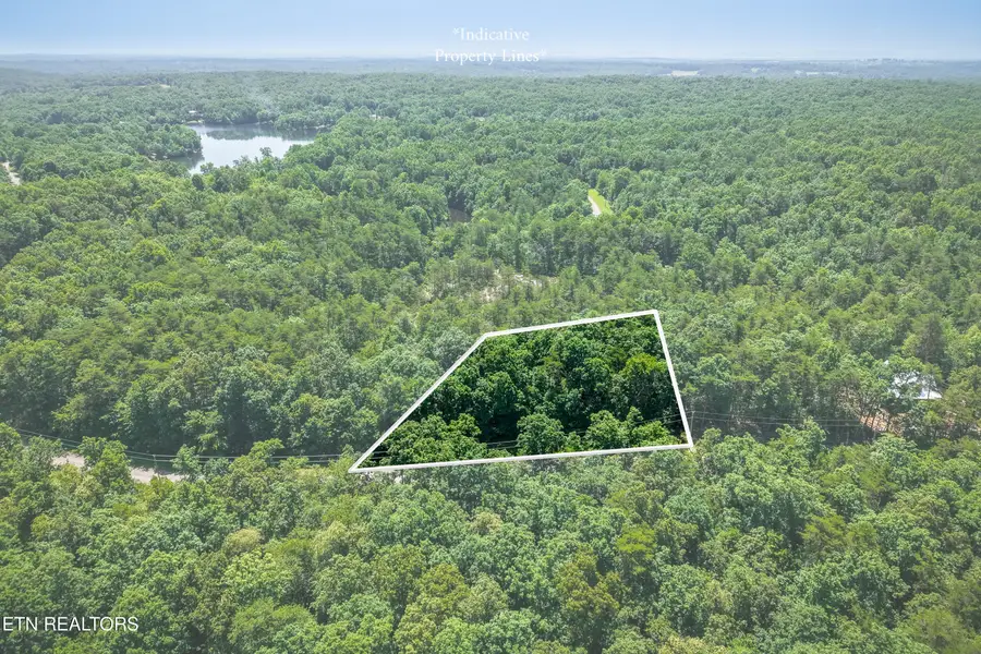 Parkview Drive, Monterey, TN 38574 - #3