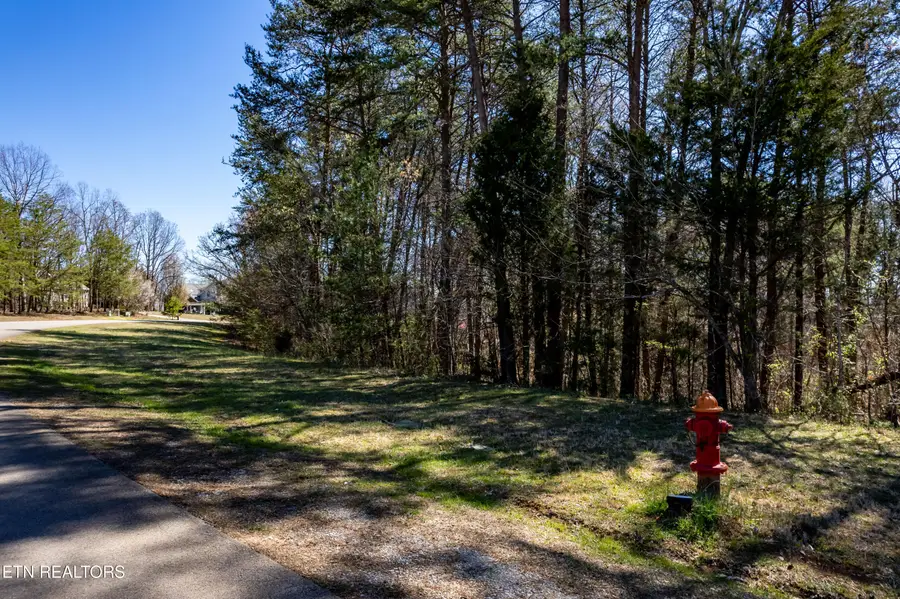 Indian Shadows Drive Lot 112, Maryville, TN 37801 - #3