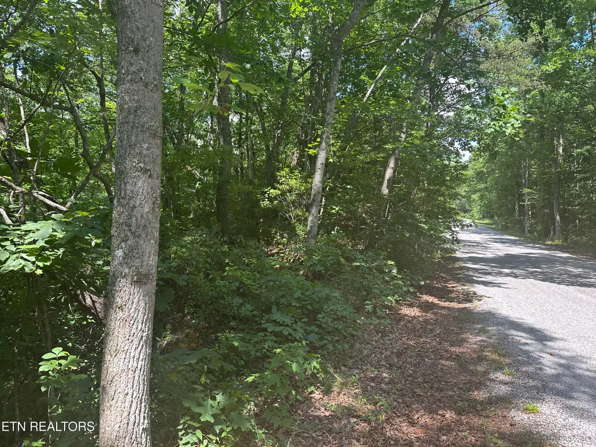 609 Saint George Drive, Crossville, TN 38558 - #1