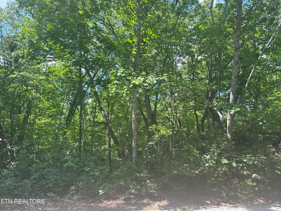 609 Saint George Drive, Crossville, TN 38558 - #2