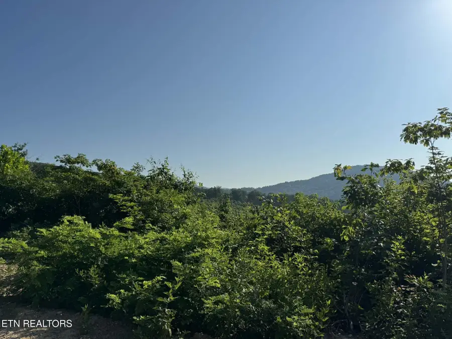 Tower Rd, Tazewell, TN 37879 - #2