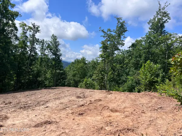 Tower Rd, Tazewell, TN 37879