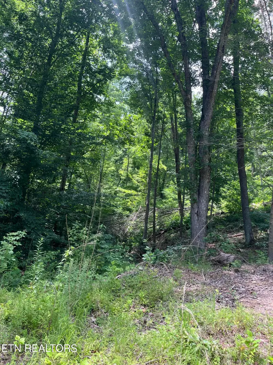 Tower Rd, Tazewell, TN 37879 - #3