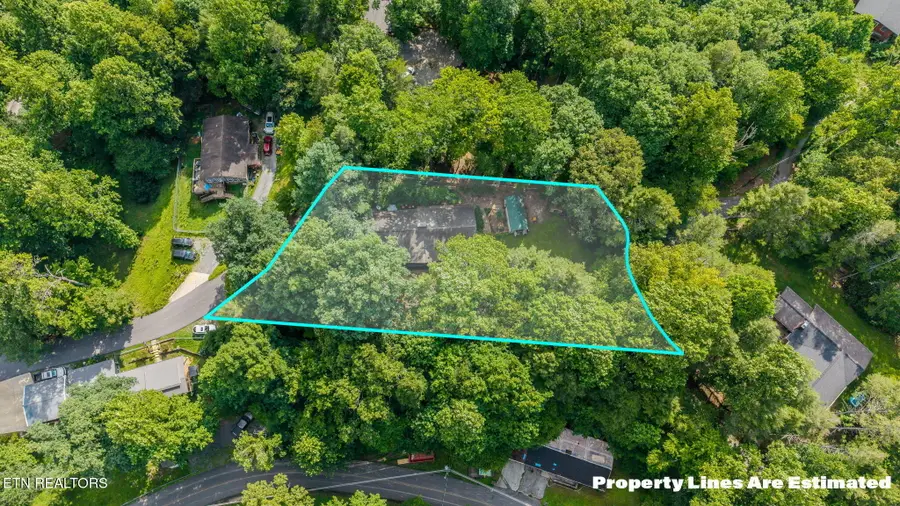 543 Reba Lane, Gatlinburg, TN 37738 - #3