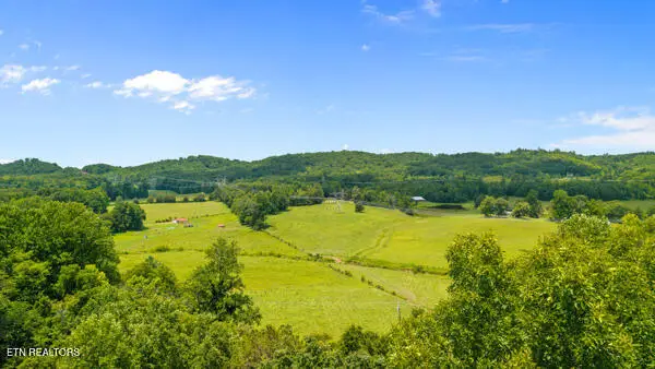 1913 Dry Fork Valley Rd, Philadelphia, TN 37846 - #1