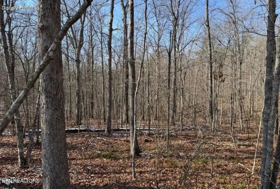 Belmont Circle, Monterey, TN 38574 - #2
