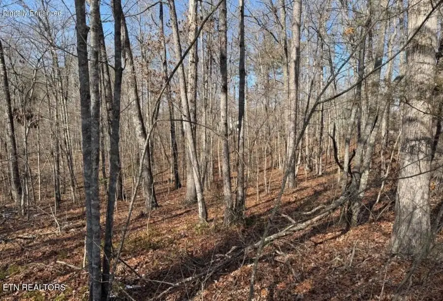 Belmont Circle, Monterey, TN 38574 - #3