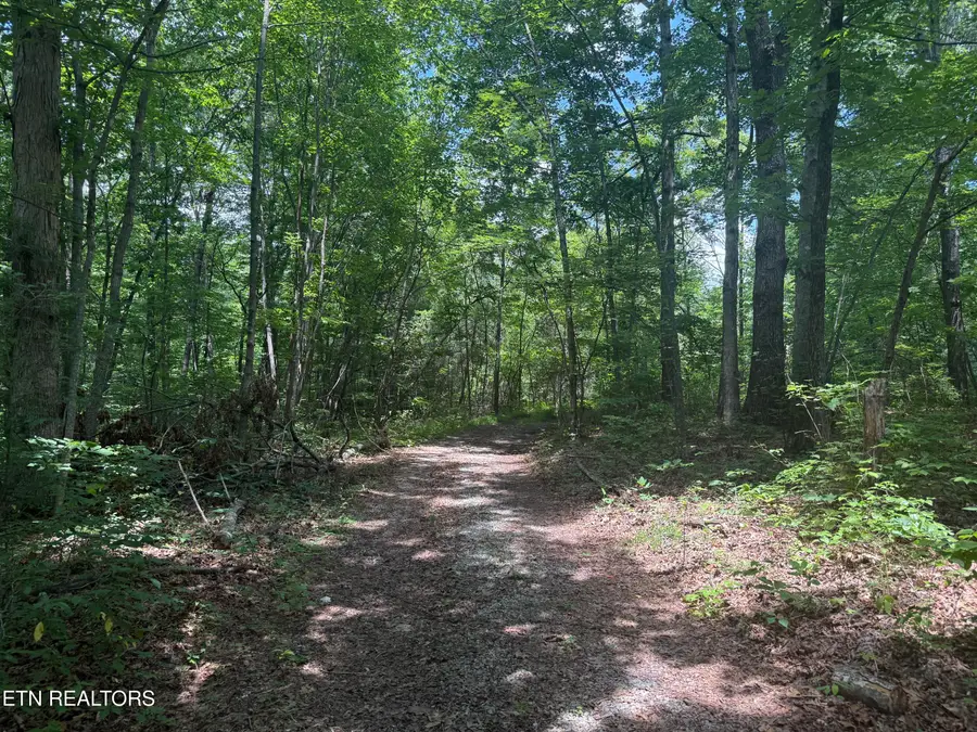 0 Wilder Hwy, Wilder, TN 38589 - #3