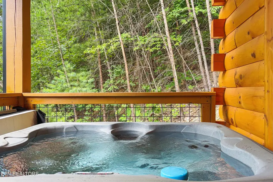 1026 Black Bear Cub Way, Sevierville, TN 37862 - #3