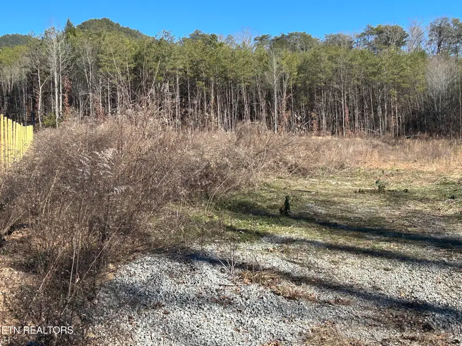 504 Wiggins Rd, Tellico Plains, TN 37385 - #3