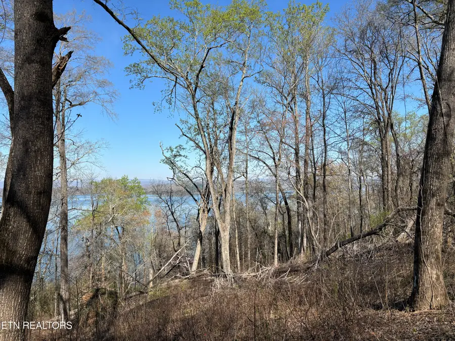 Lot 38 Johnson Lane, Ten Mile, TN 37880 - #3