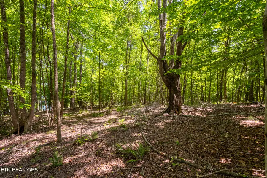 Lot 22 Indian Shadows Drive, Ten Mile, TN 37880 - #3