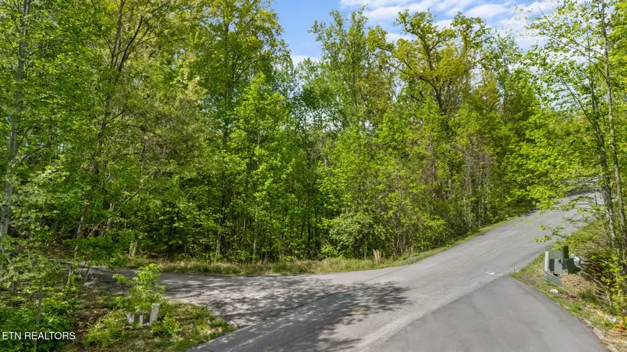 Lot 66E Redtail Rd, Sevierville, TN 37862 - #3